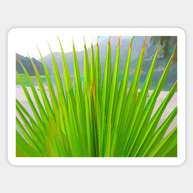 Palm Fronds Sticker by stuartchard